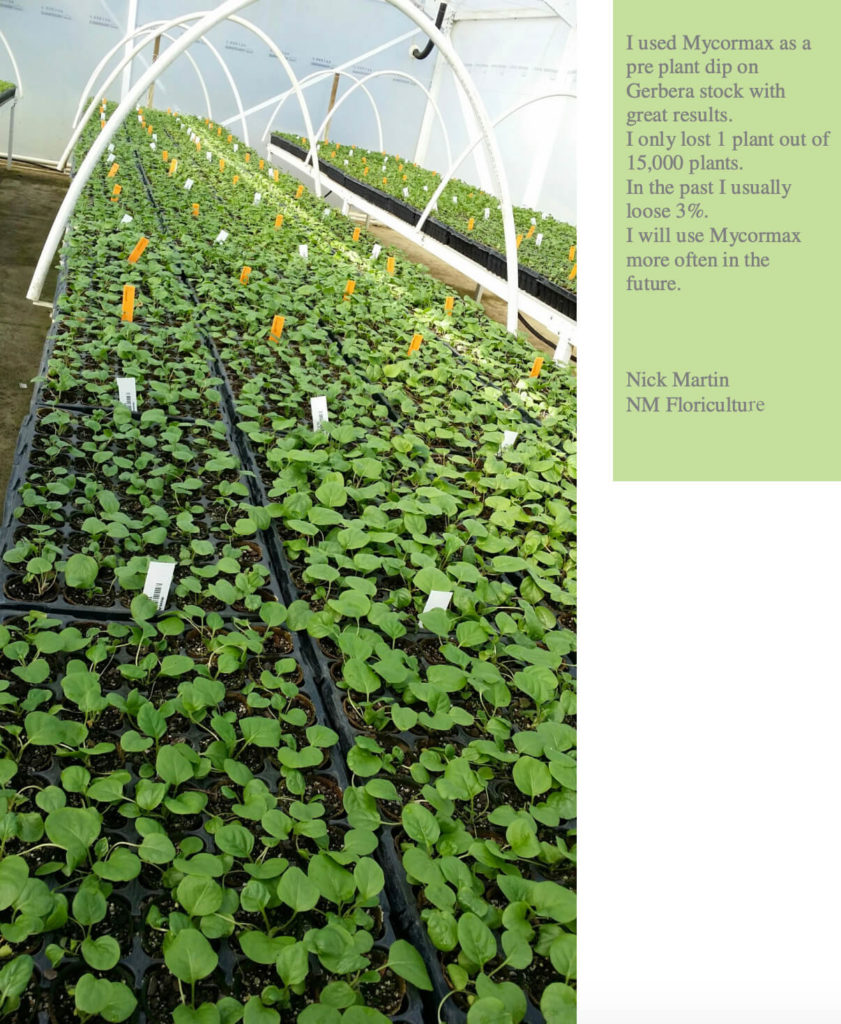 NM Floriculture | Mycorrhizal Fungi 1 floriculture_fertiliser